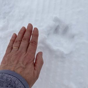 Meet your Posher, Jackie